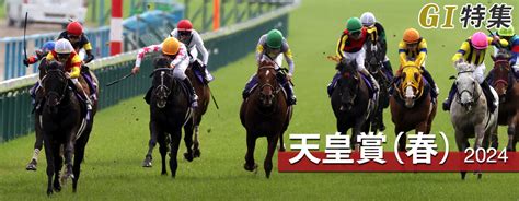 2014 馬|有馬記念(G1) 結果・払戻 